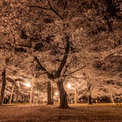 「春バテ」の原因と対策～季節の変わり目の寒暖差にご注意を～